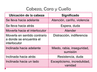 Cabeza, Cara y Cuello