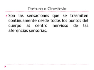 Postura o CinestesiaSon las sensaciones que se trasmiten continuamente desde todos los puntos del cuerpo al centro nervioso de las aferencias sensorias. 
