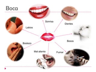 BocaSonrisaDientesLabiosBesosBostezoMal alientoFumar