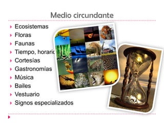 Medio circundanteEcosistemasFlorasFaunasTiempo, horarioCortesíasGastronomíasMúsicaBailesVestuarioSignos especializados