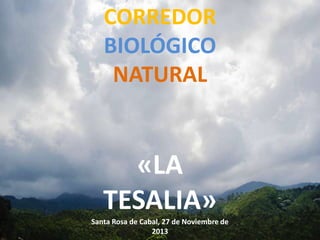 CORREDOR
BIOLÓGICO
NATURAL

«LA
TESALIA»
Santa Rosa de Cabal, 27 de Noviembre de
2013

 