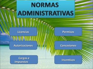 Licencias Permisos Autorizaciones Concesiones Cargas e Impuestos Incentivos 