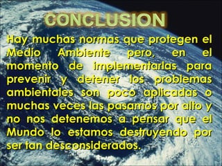 Hay muchas normas que protegen el Medio Ambiente pero, en el momento de implementarlas para prevenir y detener los problemas ambientales son poco aplicadas o muchas veces las pasamos por alto y no nos detenemos a pensar que el Mundo lo estamos destruyendo por ser tan desconsiderados. 