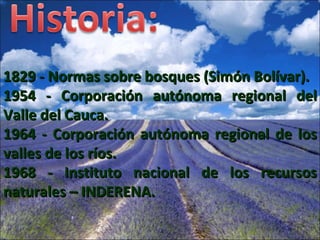 1829 - Normas sobre bosques (Simón Bolívar). 1954 - Corporación autónoma regional del Valle del Cauca. 1964 - Corporación autónoma regional de los valles de los ríos. 1968 - Instituto nacional de los recursos naturales – INDERENA. 