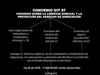 CONVENIO OIT 87
      CONVENIO SOBRE LA LIBERTAD SINDICAL Y LA
       PROTECCIÓN DEL DERECHO DE SINDICACIÓN




Libre organización de          El amparo del              El tiempo y el
    trabajadores y              derecho de                    espacio
     empleadores                sindicación               (jurisdicción)
    Artículos 1- 10             Artículo 11              Artículos 12-21



 proteger el derecho subjetivo de los trabajadores y empleadores de
 organizarse, sin autorización y autonomía atendiendo a la jurisdicción
                 que el Estado disponga en su territorio.

             ley 26 de 1976 : T-568-99 MP: Carlos Gaviria Díaz.
                                Categoría
 