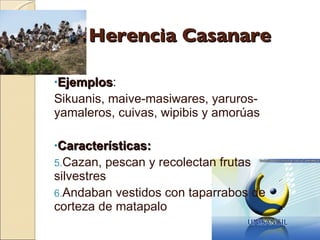 Herencia Casanare Ejemplos : Sikuanis, maive-masiwares, yaruros-yamaleros, cuivas, wipibis y amorúas Características: Cazan, pescan y recolectan frutas silvestres Andaban vestidos con taparrabos de corteza de matapalo 