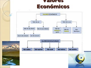 Valores Económicos 