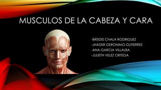 MUSCULOS DE LA CABEZA Y CARA
-BREIDIS CHALA RODRIGUEZ
-JHADER GERONIMO GUTIERREZ
-ANA GARCIA VILLALBA
-JULIETH VELEZ ORTEGA
 