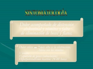 SINTOMATOLOGÍA Dolor acompañado de distensión abdominal y vómitos y falta  de eliminación de heces y flatos. Dolor cólico ▬ ↑más alta es la obstrucción,  Alivia con los vómitos. Vómitos Expulsión de gases (suboclusión) Hiperperistaltismo reactivo: 24-48 horas 