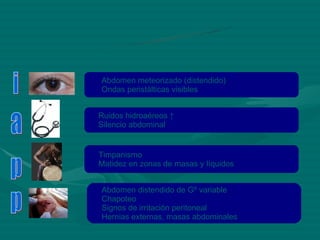 Exploración abdominal Abdomen meteorizado (distendido) Ondas peristálticas visibles Ruidos hidroaéreos ↑ Silencio abdominal Timpanismo Matidez en zonas de masas y líquidos Abdomen distendido de Gº variable Chapoteo Signos de irritación peritoneal Hernias externas, masas abdominales i a p p 
