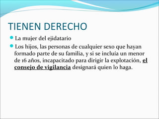 TIENEN DERECHO
La mujer del ejidatario
Los hijos, las personas de cualquier sexo que hayan

formado parte de su familia, y si se incluía un menor
de 16 años, incapacitado para dirigir la explotación, el
consejo de vigilancia designará quien lo haga.

 