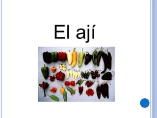 El ají
 