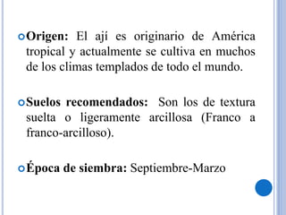 Origen: El ají es originario de América
tropical y actualmente se cultiva en muchos
de los climas templados de todo el mundo.
Suelos recomendados: Son los de textura
suelta o ligeramente arcillosa (Franco a
franco-arcilloso).
Época de siembra: Septiembre-Marzo
 