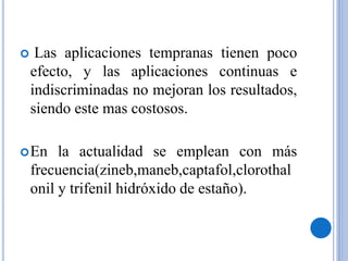  Las aplicaciones tempranas tienen poco
efecto, y las aplicaciones continuas e
indiscriminadas no mejoran los resultados,
siendo este mas costosos.
En la actualidad se emplean con más
frecuencia(zineb,maneb,captafol,clorothal
onil y trifenil hidróxido de estaño).
 
