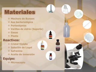 Materiales 
 Mechero de Bunsen 
 Asa bacteriológica 
 Portaobjetos 
 Varillas de vidrio (Soporte) 
 Gasas 
 Piseta 
Reactivos: 
 Cristal Violeta 
 Solución de Lugol 
 Safranina 
 Aceite de inmersión 
Equipo: 
 Microscopio 
 