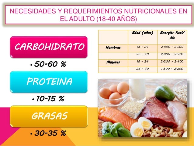 Exposicion de alimentos y nutricion de adulto y adulto mayor