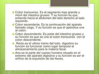  Colon transverso. Es el segmento mas grande y
móvil del intestino grueso. Y su función es que
extiende hacia el abdomen del lado derecho al lado
izquierdo.
 Colon ascendente. Es la continuación del aparato
llamado ciego. Y su función es que el apéndice une
al colon.
 Colon descendente. Es parte del intestino grueso y
su función es que se une el colon transverso con el
colon descendente.
 Recto.es el ultimo tramo del tubo digestivo su
función es funcionar como lugar temporal el
almacenamiento para la materia fecal.
 Ano.es la parte del cuerpo humano situado en el
extremo del aparato digestivo y su función es ser el
orificio de la expulsión de las heces.
 
