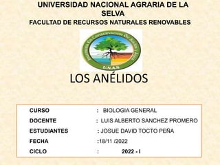 UNIVERSIDAD NACIONAL AGRARIA DE LA
SELVA
FACULTAD DE RECURSOS NATURALES RENOVABLES
LOS ANÉLIDOS
CURSO : BIOLOGIA GENERAL
DOCENTE : LUIS ALBERTO SANCHEZ PROMERO
ESTUDIANTES : JOSUE DAVID TOCTO PEÑA
FECHA :18/11 /2022
CICLO : 2022 - I
 