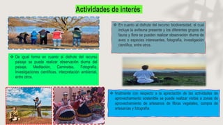 Actividades de interés
 En cuanto al disfrute del recurso biodiversidad, el cual
incluye la avifauna presente y los diferentes grupos de
fauna y flora se pueden realizar observación diurna de
aves o especies interesantes, fotografía, investigación
científica, entre otros.
 De igual forma en cuanto al disfrute del recurso
paisaje se puede realizar observación diurna del
paisaje, Meditación, Caminatas, Fotografía,
Investigaciones científicas, interpretación ambiental,
entre otros.
 finalmente con respecto a la apreciación de las actividades de
aprovechamiento sostenible se puede realizar visitas a zonas de
aprovechamiento de artesanos de fibras vegetales, compra de
artesanías y fotografía.
 