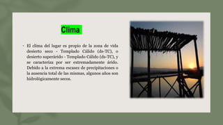 Clima
• El clima del lugar es propio de la zona de vida
desierto seco - Templado Cálido (ds-TC), o
desierto superárido - Templado Cálido (ds-TC), y
se caracteriza por ser extremadamente árido.
Debido a la extrema escasez de precipitaciones o
la ausencia total de las mismas, algunos años son
hidrológicamente secos.
 
