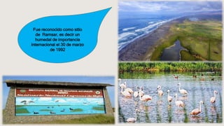 Fue reconocido como sitio
de Ramsar, es decir un
humedal de importancia
internacional el 30 de marzo
de 1992
 
