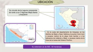 UBICACIÓN
• En la costa del departamento de Arequipa, en los
distritos de Mejía y Dean Valdivia,y la punta d bom bom
a escasos metros de la playa moto bamba y a los
balnearios de mollendo y Mejía a escasos metros de la
línea de la marea del Océano Pacífico.
Su circuito de la Laguna comprende
de norte a sur 3 lagunas Mejía Iberia
y boquerón
Su extensión es de 690 . 60 hectáreas
 