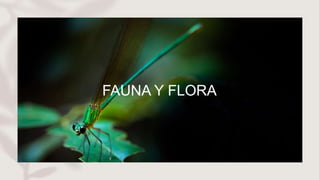 FAUNA Y FLORA
 
