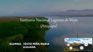 Santuario Nacional Lagunas de Mejía
(Arequipa)
ALUMNA : TOCTO PEÑA MARIA
LLULIANA
 