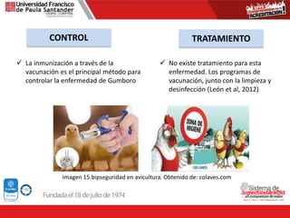CONTROL TRATAMIENTO
 La inmunización a través de la
vacunación es el principal método para
controlar la enfermedad de Gumboro
 No existe tratamiento para esta
enfermedad. Los programas de
vacunación, junto con la limpieza y
desinfección (León et al, 2012)
Imagen 15.bipseguridad en avicultura. Obtenido de: colaves.com
 