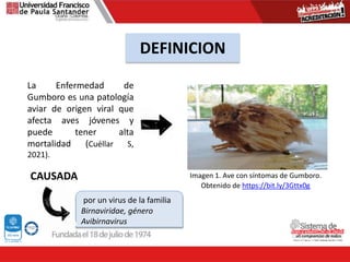 La Enfermedad de
Gumboro es una patología
aviar de origen viral que
afecta aves jóvenes y
puede tener alta
mortalidad (Cuéllar S,
2021).
DEFINICION
Imagen 1. Ave con síntomas de Gumboro.
Obtenido de https://bit.ly/3Gttx0g
por un virus de la familia
Birnaviridae, género
Avibirnavirus
CAUSADA
 
