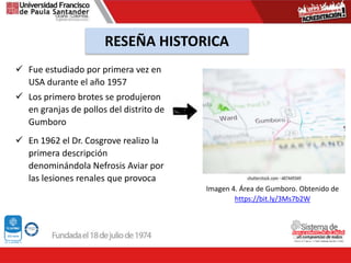 RESEÑA HISTORICA
 Fue estudiado por primera vez en
USA durante el año 1957
 Los primero brotes se produjeron
en granjas de pollos del distrito de
Gumboro
 En 1962 el Dr. Cosgrove realizo la
primera descripción
denominándola Nefrosis Aviar por
las lesiones renales que provoca
Imagen 4. Área de Gumboro. Obtenido de
https://bit.ly/3Ms7b2W
 