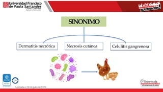 SINONIMO
Dermatitis necrótica Necrosis cutánea Celulitis gangrenosa
 