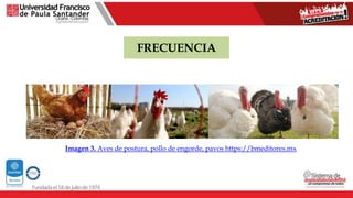 FRECUENCIA
Imagen 3. Aves de postura, pollo de engorde, pavos https://bmeditores.mx
 