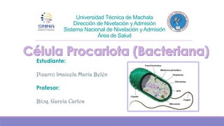 Universidad Técnica de Machala
Dirección de Nivelación y Admisión
Sistema Nacional de Nivelación y Admisión
Área de Salud

Estudiante:
Pizarro Imaicela María Belén
Profesor:
Bioq. García Carlos

 