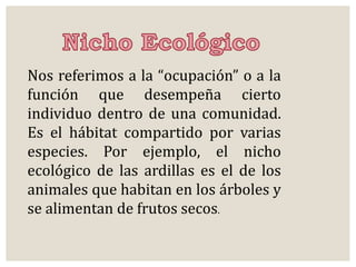 Nos referimos a la “ocupación” o a la 
función que desempeña cierto 
individuo dentro de una comunidad. 
Es el hábitat compartido por varias 
especies. Por ejemplo, el nicho 
ecológico de las ardillas es el de los 
animales que habitan en los árboles y 
se alimentan de frutos secos. 
 
