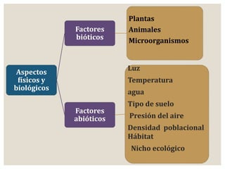Aspectos 
físicos y 
biológicos 
Factores 
bióticos 
Plantas 
Animales 
Microorganismos 
Factores 
abióticos 
Luz 
Temperatura 
agua 
Tipo de suelo 
Presión del aire 
Densidad poblacional 
Hábitat 
Nicho ecológico 
 
