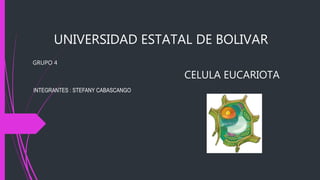 UNIVERSIDAD ESTATAL DE BOLIVAR
GRUPO 4
CELULA EUCARIOTA
INTEGRANTES : STEFANY CABASCANGO
 