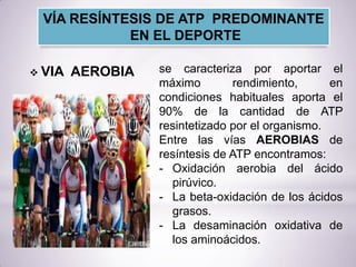  VIA AEROBIA se caracteriza por aportar el
máximo rendimiento, en
condiciones habituales aporta el
90% de la cantidad de ATP
resintetizado por el organismo.
Entre las vías AEROBIAS de
resíntesis de ATP encontramos:
- Oxidación aerobia del ácido
pirúvico.
- La beta-oxidación de los ácidos
grasos.
- La desaminación oxidativa de
los aminoácidos.
VÍA RESÍNTESIS DE ATP PREDOMINANTE
EN EL DEPORTE
 