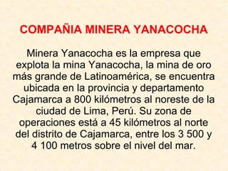 COMPAÑIA MINERA YANACOCHA
Minera Yanacocha es la empresa que
explota la mina Yanacocha, la mina de oro
más grande de Latinoamérica, se encuentra
ubicada en la provincia y departamento
Cajamarca a 800 kilómetros al noreste de la
ciudad de Lima, Perú. Su zona de
operaciones está a 45 kilómetros al norte
del distrito de Cajamarca, entre los 3 500 y
4 100 metros sobre el nivel del mar.
 