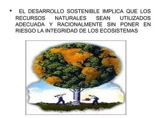 • EL DESARROLLO SOSTENIBLE IMPLICA QUE LOS
RECURSOS NATURALES SEAN UTILIZADOS
ADECUADA Y RACIONALMENTE SIN PONER EN
RIESGO LA INTEGRIDAD DE LOS ECOSISTEMAS
 
