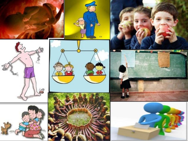 Exposicion De Los Derechos Humanos