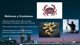 Chanque Sustainable Marine Resources and Ecosystem Management in Tacna Region | PDF