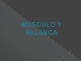 Elevadores o depresores: levantan o bajan una parte del cuerpo.