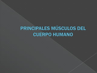 MUSCULO Y PALANCA