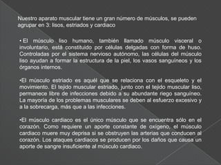 Nuestro aparato muscular tiene un gran número de músculos, se pueden agrupar en 3: lisos, estriados y cardiaco El músculo liso humano, también llamado músculo visceral o involuntario, está constituido por células delgadas con forma de huso. Controladas por el sistema nervioso autónomo, las células del músculo liso ayudan a formar la estructura de la piel, los vasos sanguíneos y los órganos internos.