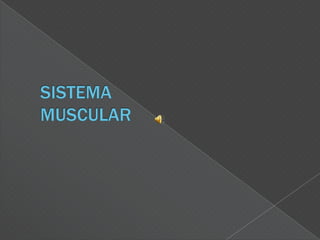 SISTEMAMUSCULAR,[object Object]