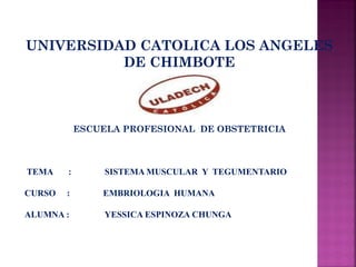 UNIVERSIDAD CATOLICA LOS ANGELES
DE CHIMBOTE
ESCUELA PROFESIONAL DE OBSTETRICIA
TEMA : SISTEMA MUSCULAR Y TEGUMENTARIO
CURSO : EMBRIOLOGIA HUMANA
ALUMNA : YESSICA ESPINOZA CHUNGA
 