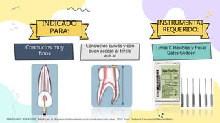 INDICADO
PARA:
Conductos muy
finos
Conductos curvos y con
buen acceso al tercio
apical
Limas K Flexibles y fresas
Gates Glidden
INSTRUMENTAL
REQUERIDO:
MARCHANT BURATOVIC, Marko, et al. Preparación biomécanica de conductos radiculares. 2010. Tesis Doctoral. Universidad Andrés Bello.
 