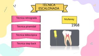 Técnica retrograda
1968
Mullaney
TÉCNICA
ESCALONADA
Técnica piramidal
Técnica telescópica
Técnica step back
 