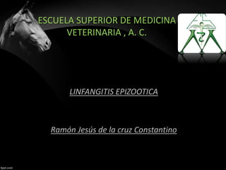 ESCUELA SUPERIOR DE MEDICINA
VETERINARIA , A. C.
LINFANGITIS EPIZOOTICA
Ramón Jesús de la cruz Constantino
 